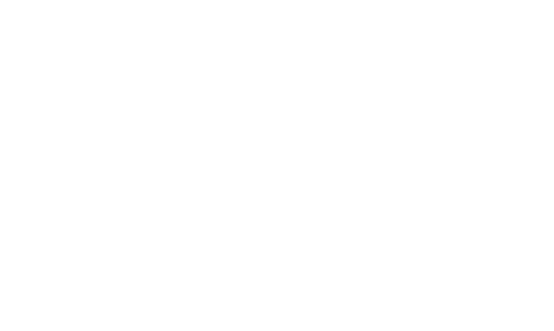 Exclusiva Castor Store